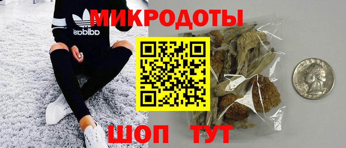 Псилоцибиновые грибы MAGIC MUSHROOMS Каменка